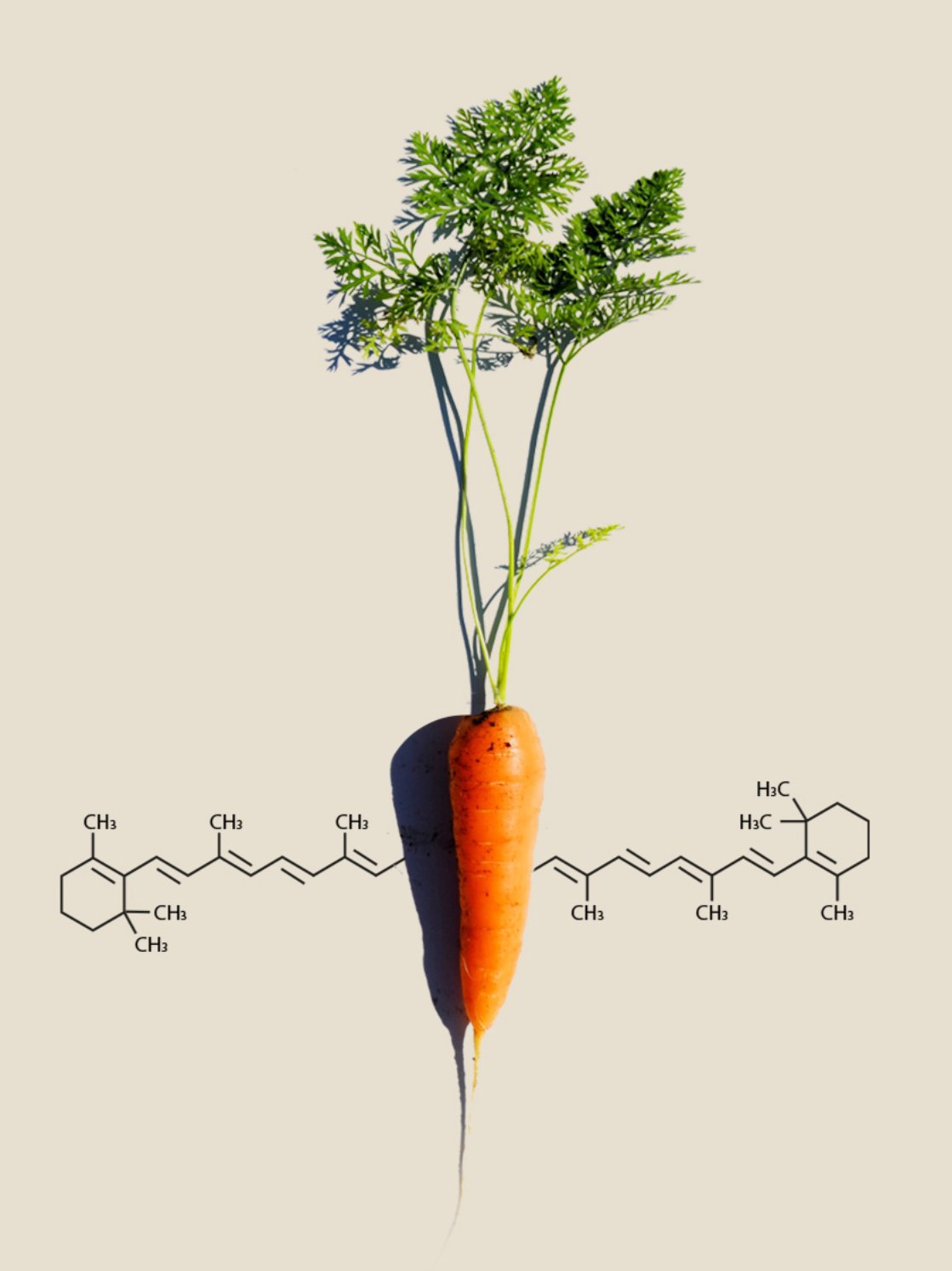 ONE THING Carrot Root Extract - Jevy K-Beauty & Skincare